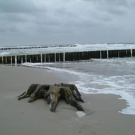 Nahe Ostsee Graal Mueritz, Cleaning Included Appartamento